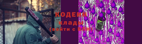 прущий лед Арсеньев