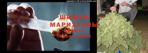 индика Аркадак