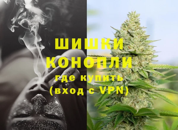 индика Аркадак