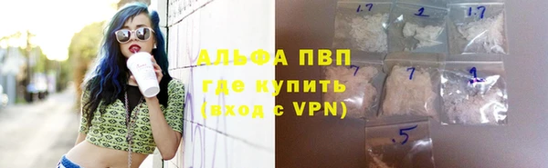 индика Аркадак