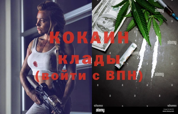 индика Аркадак