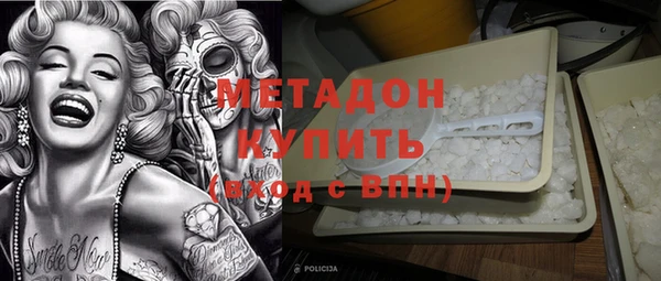индика Аркадак