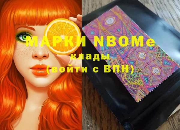 индика Аркадак