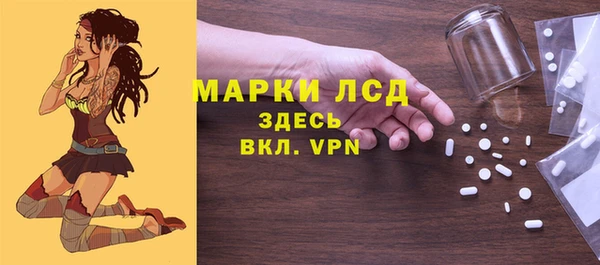индика Аркадак
